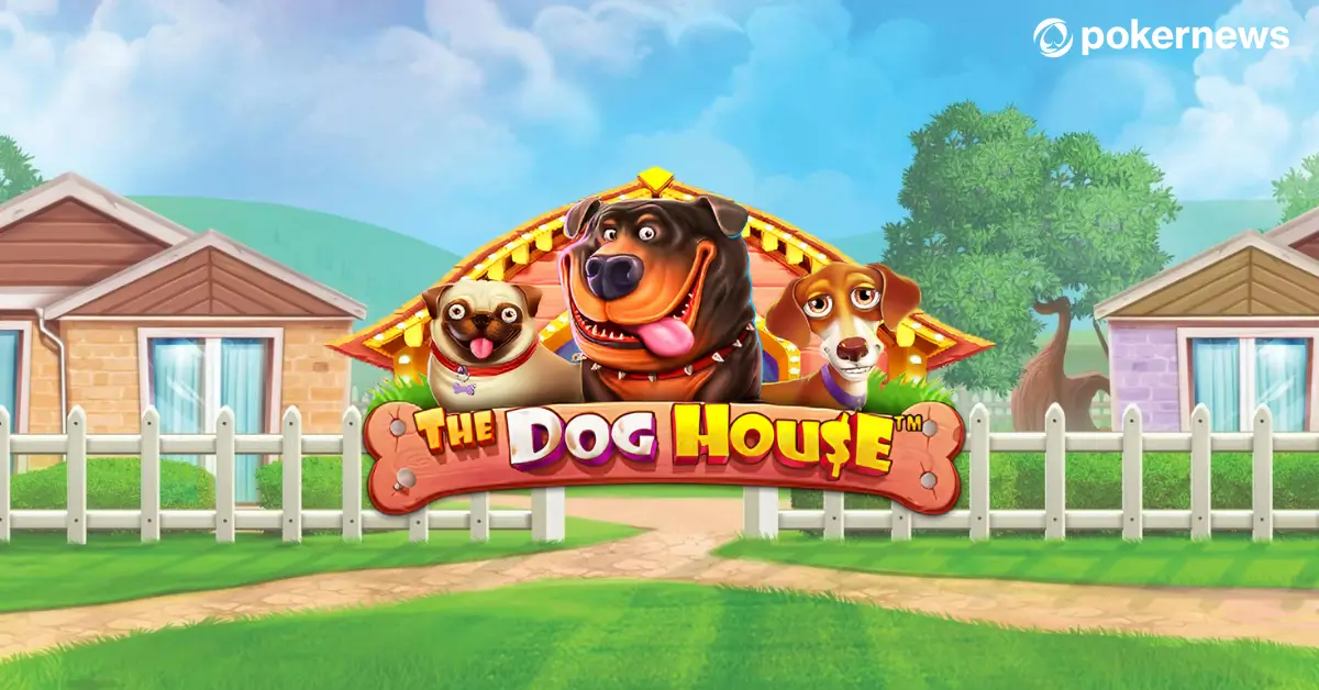 The Dog House slot – Spinmester favorite